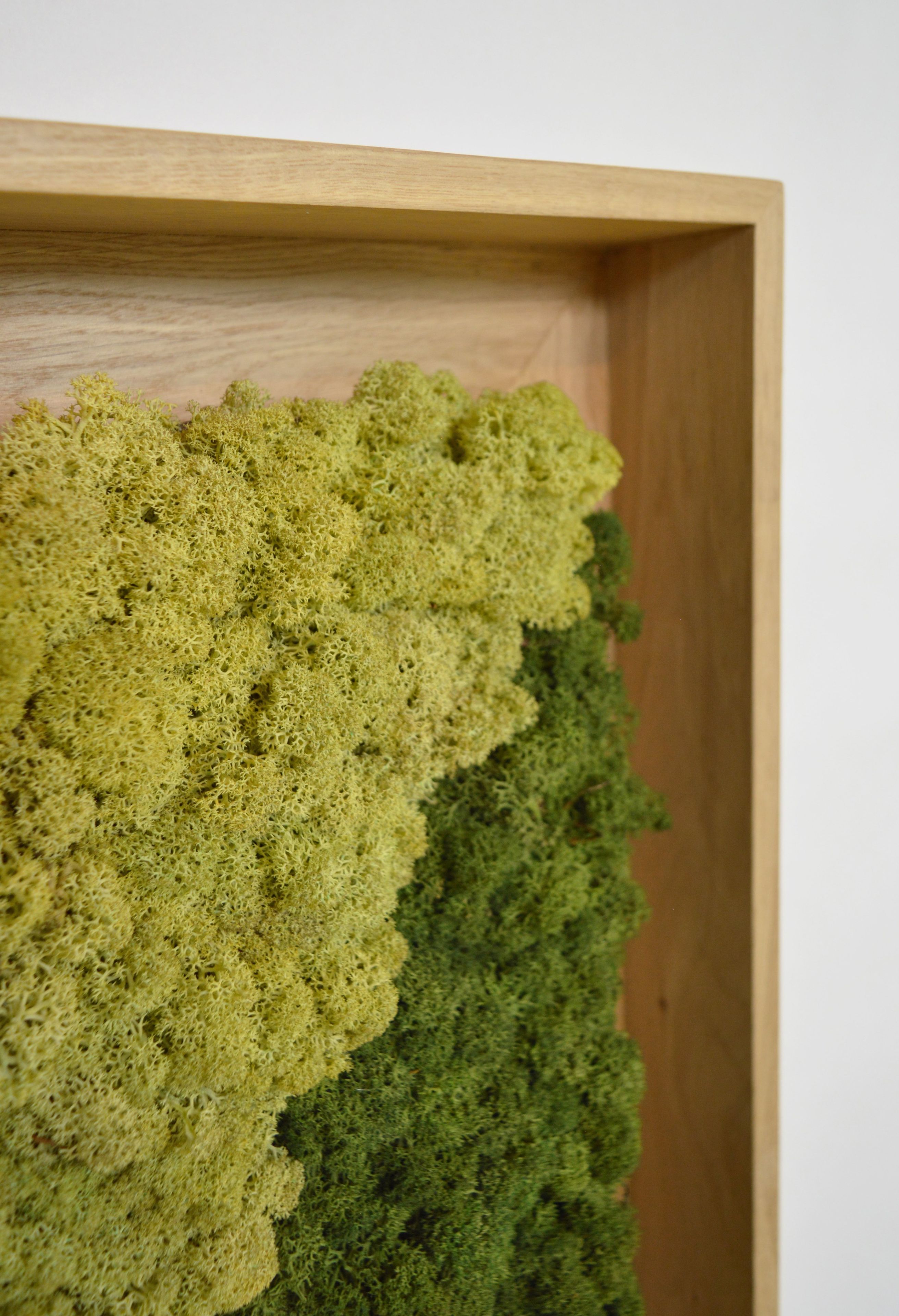 Акустическая панель из мха GREENMOOD FRAMED GEOMETRIC ARCH-00124960 - Вид №27