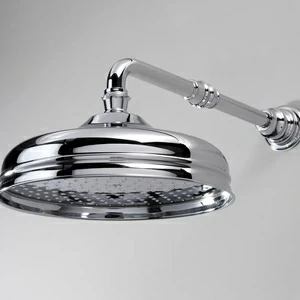 Душевая лейка AQ5130/SNCR Devon Devon SHOWER