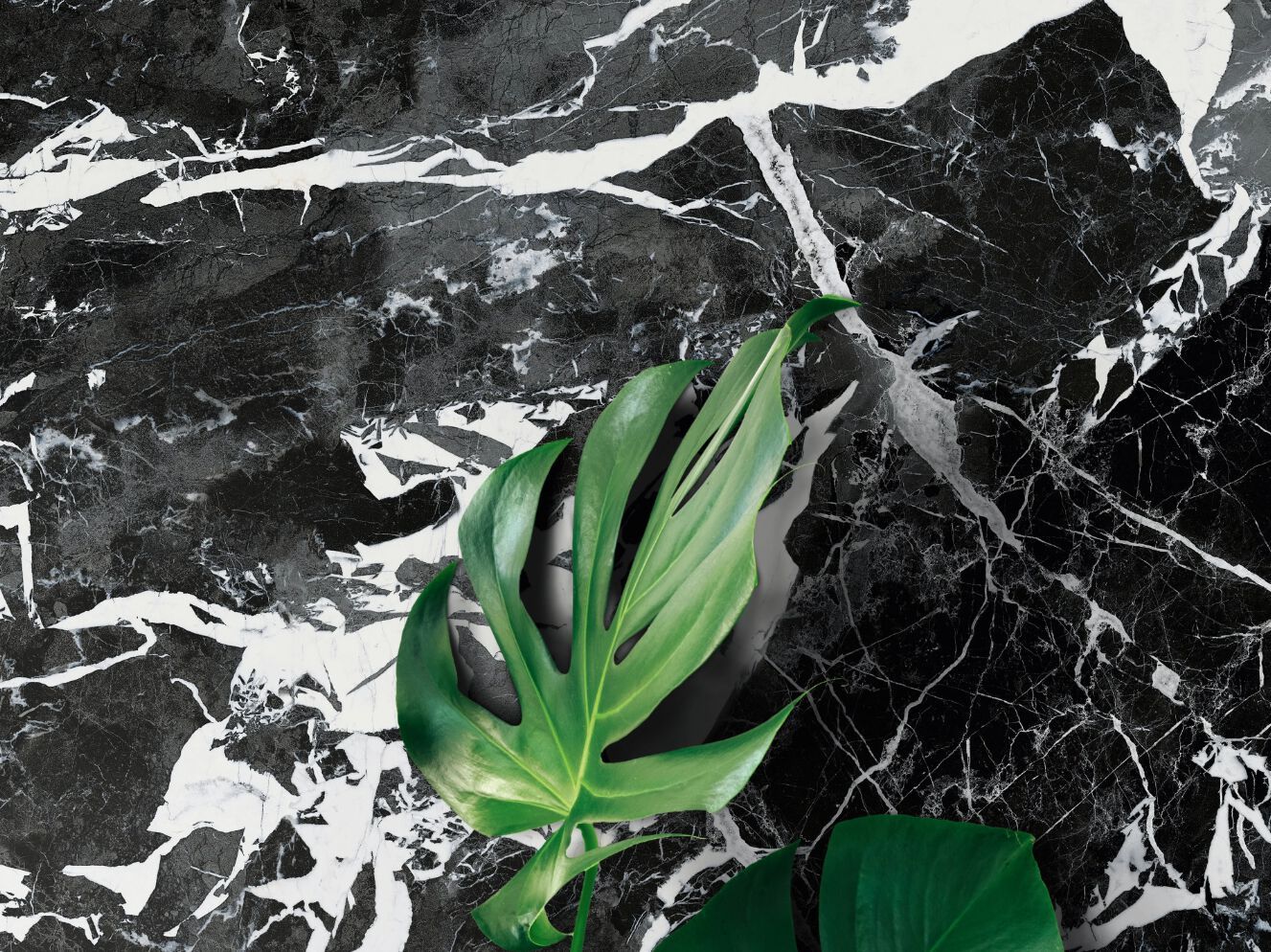 Пол / напольное покрытие из керамогранита с мраморным эффектом Imola THE ROOM ARCH-00073362 - Вид №39