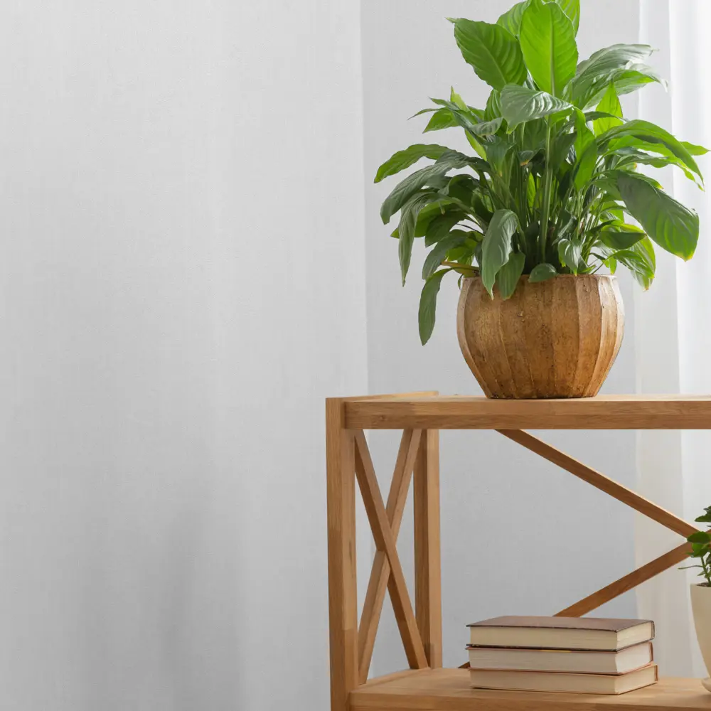 Обои флизелиновые Palitra Planet белые 1.06x25 м PP40447-01 STLM-2074821 - Вид №4