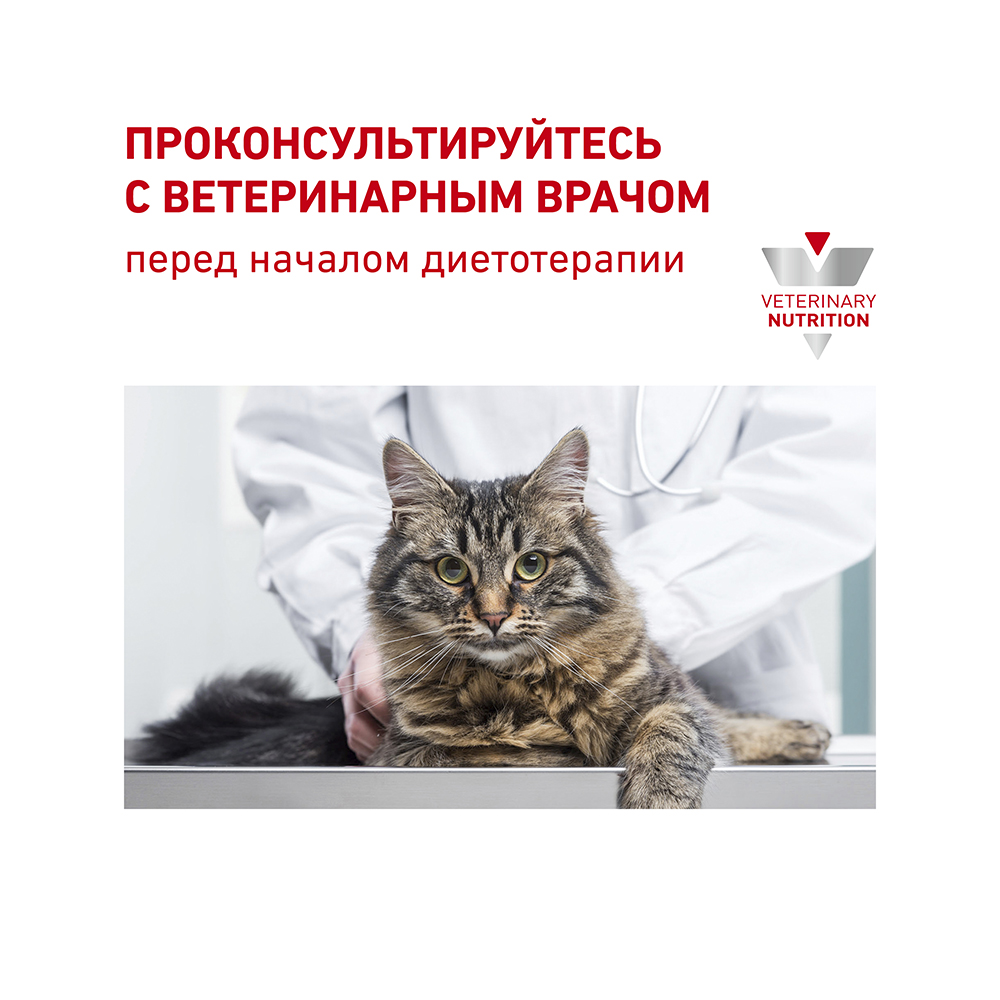 ПР0053531 Корм для кошек Vet Diet Renal Special RSF 26 при хронической почечной недостаточности сух. 2кг ROYAL CANIN  - Вид №8