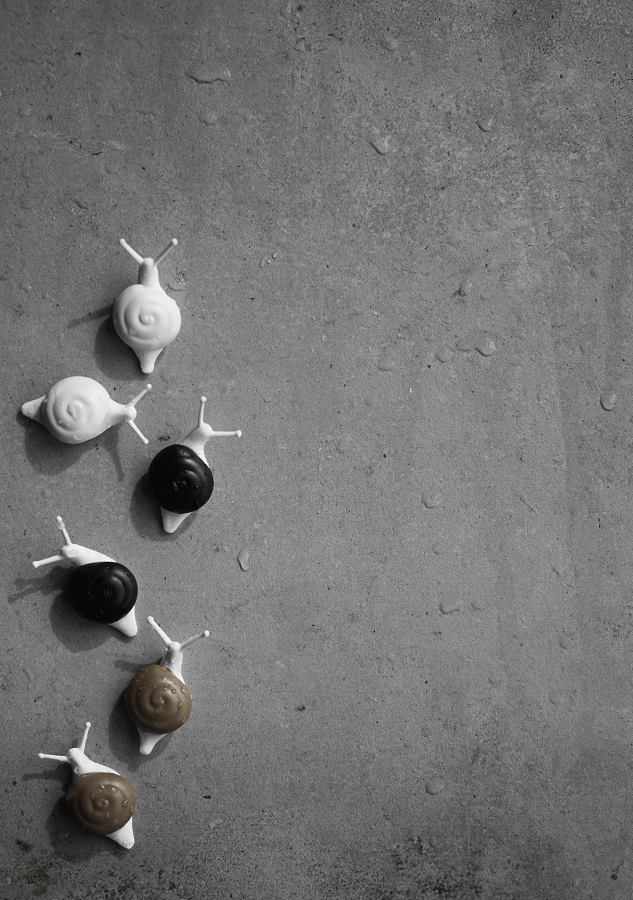 Магниты Snail, 6 шт Qualy QL10289MX - Вид №2