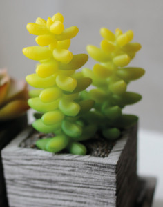 6453 883 a3 Пластиковый микс суккулентов, 3 штуки на миске, 19 x 7 x 11 см, зеленый H-andreas