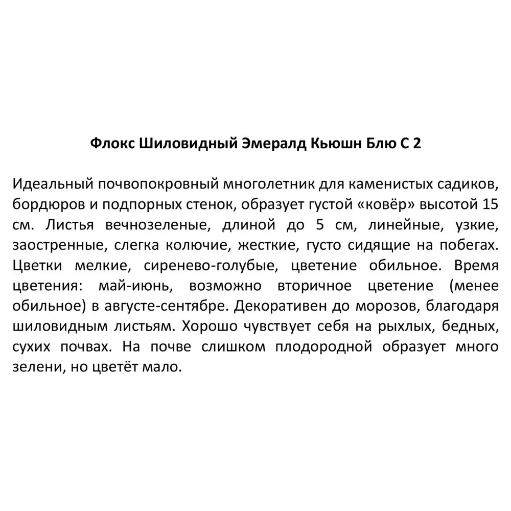 Флокс шиловидный Эмералд Кьюшн ø17 h30 см 85324969 STLM-2088320 Santreyd  - Вид №3