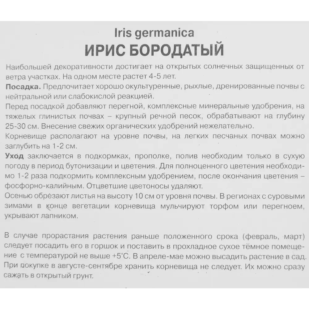 Ирис бородатый Салтанс Пэлас 85186003 STLM-2208838 ПОИСК  - Вид №2
