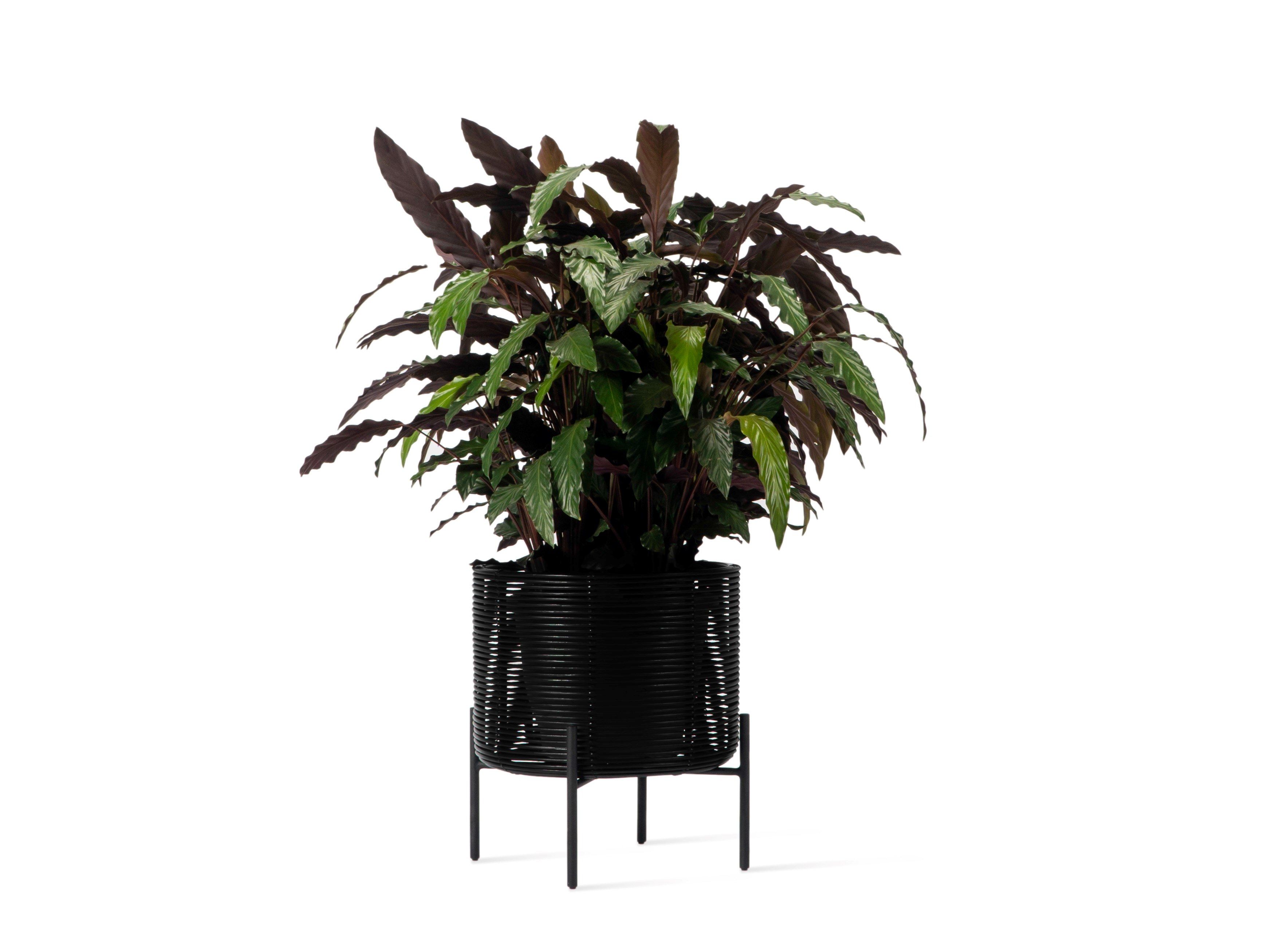 Круглая плетеная ВАЗа Vincent sheppard Иво ARCH-00100694 - Вид №5