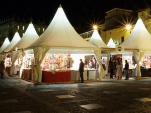 Dickson Моющаяся ткань из ПВХ высокой прочности