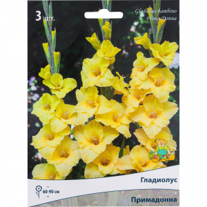 82118687 Гладиолусы бамбино «Примадонна», размер луковицы 10/12, 3 шт.
