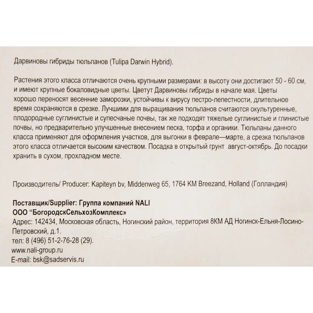 Тюльпан «Van Eijk» размер луковицы 10/11, 3 шт. 82365333 STLM-2080174 Santreyd  - Вид №2