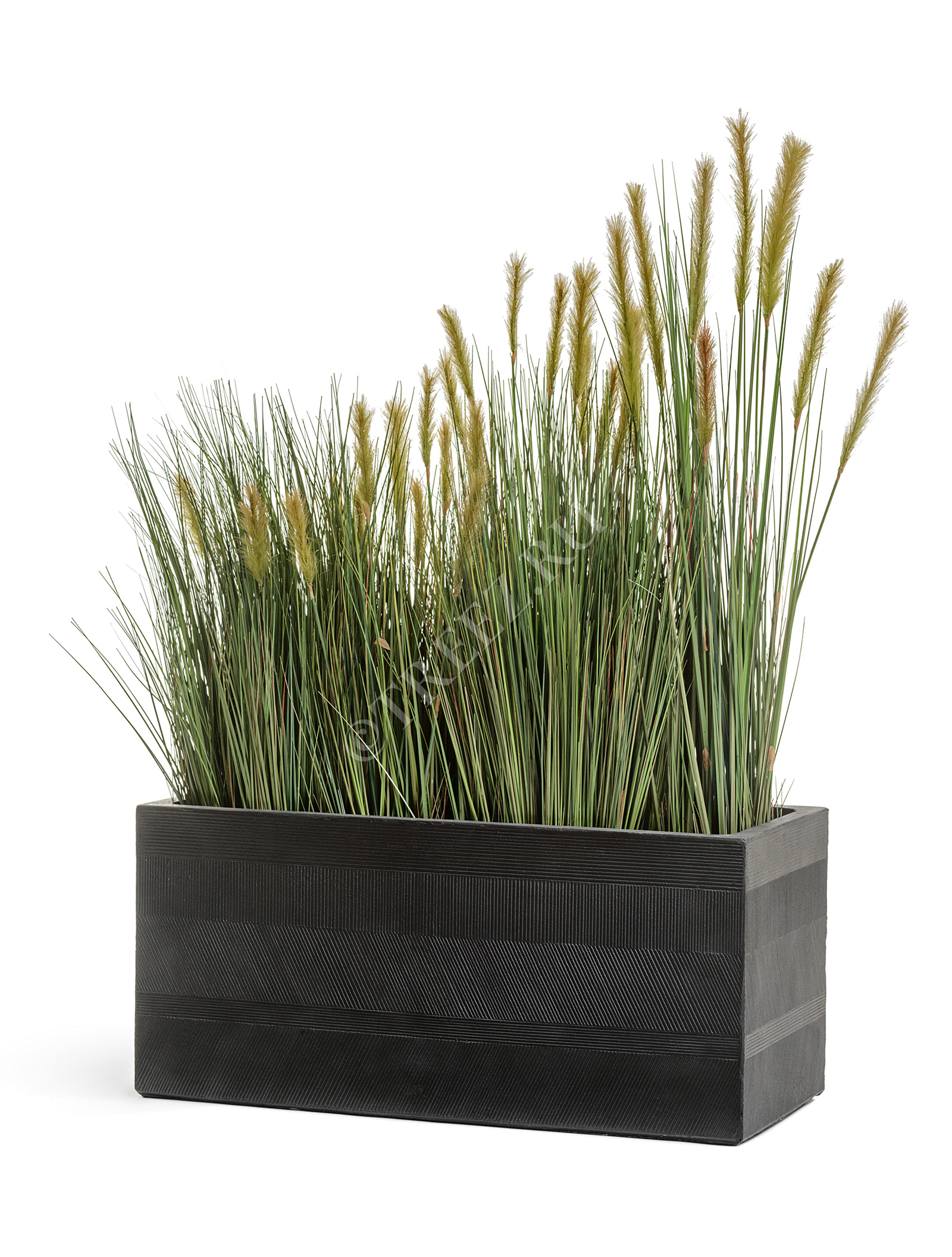 20.1040L-120 Трава Осока Элеганс куст с зелёными султанами Цветочная коллекция  - Вид №7