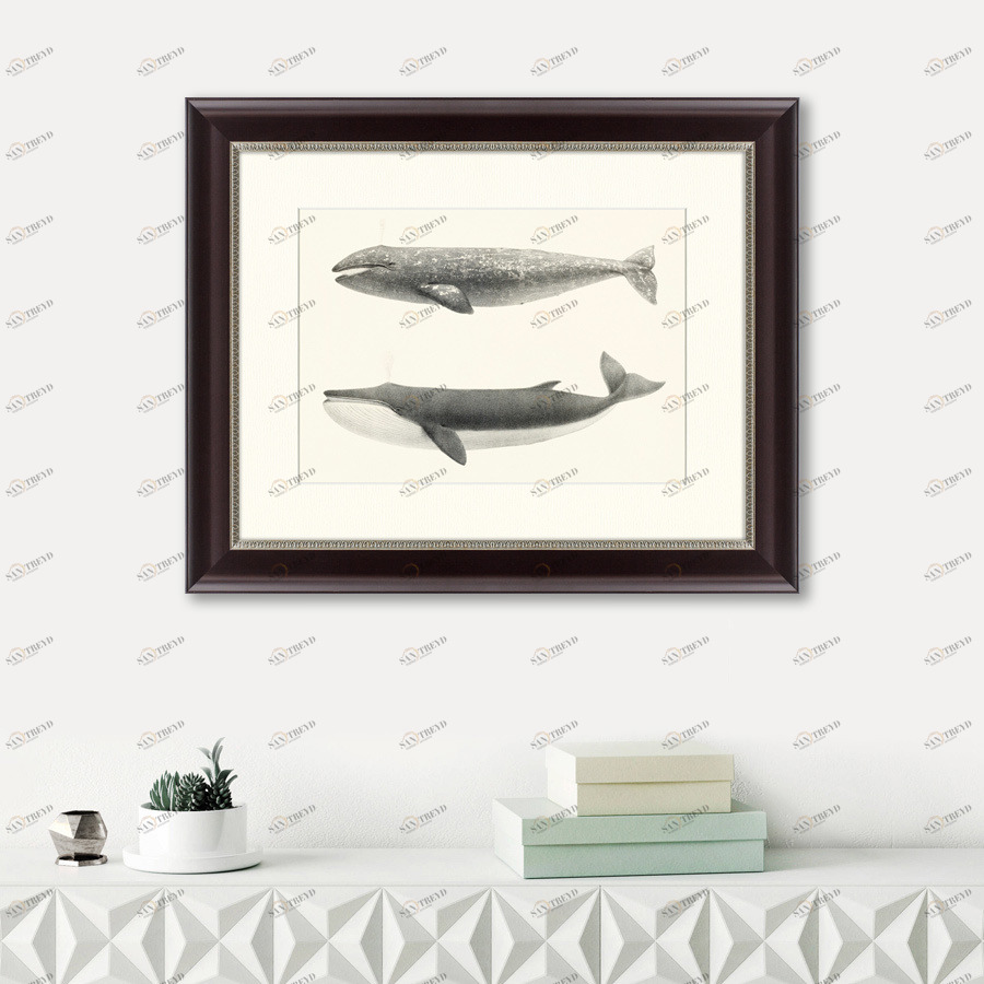 Литография на тонированной бумаге 42х52 см "The California Gray Whale (Rhachieanectes claucus), 1857 КАРТИНЫ В КВАРТИРУ  191743 Белый;коричневый;разноцветный 