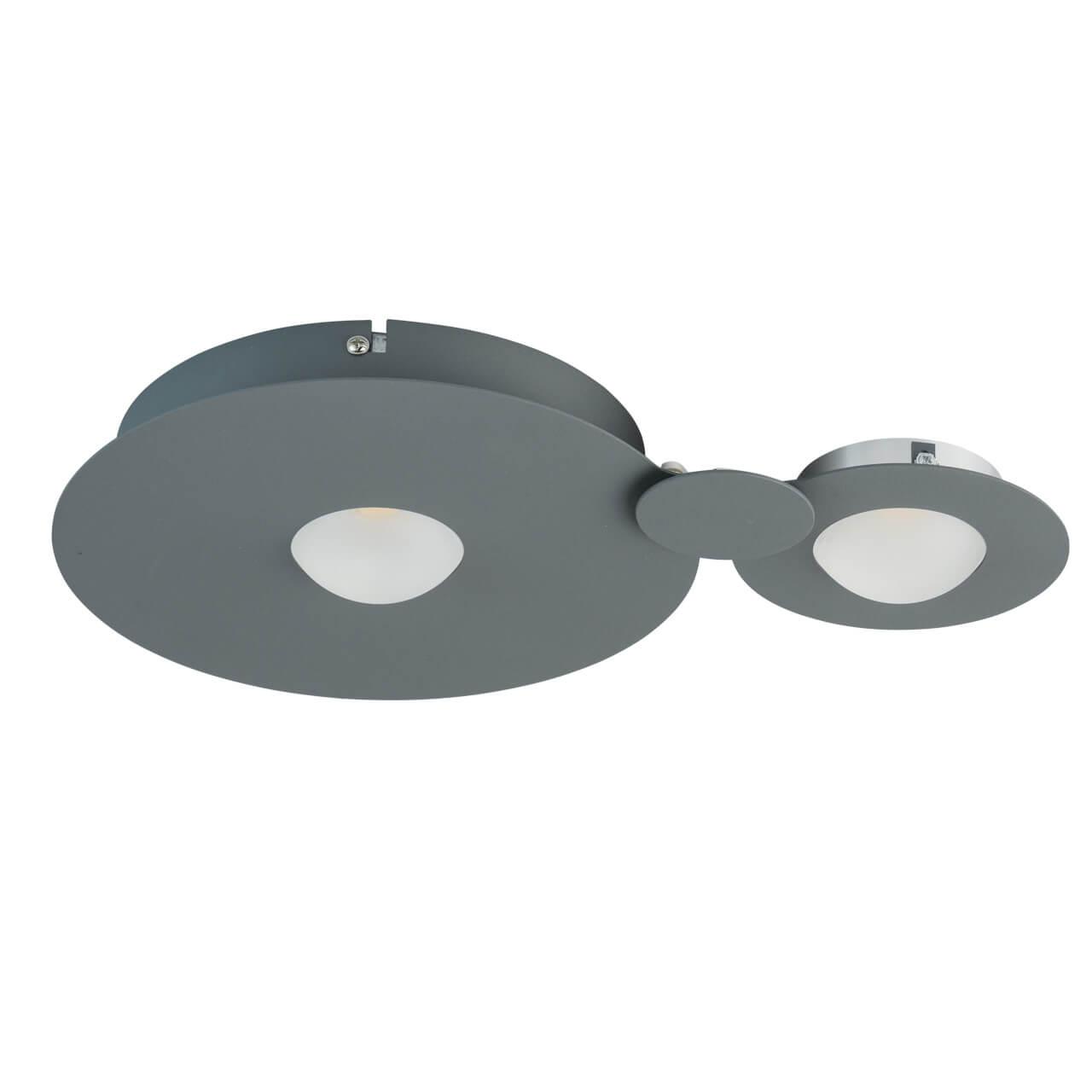 Потолочный светодиодный светильник De Markt Круз 22 637017702 DE MARKT КРУЗ 22 202195 Серый  - Вид №3