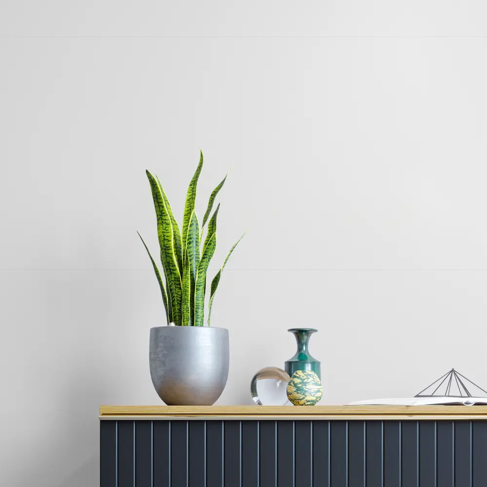 Флизелиновые обои KREAFORTA Palau - белая элегантность для современного интерьера 89413544 STLM-1568908 - Вид №4