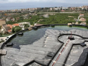 Derbigum Сборная битумная противокорневая мембрана Derbigum