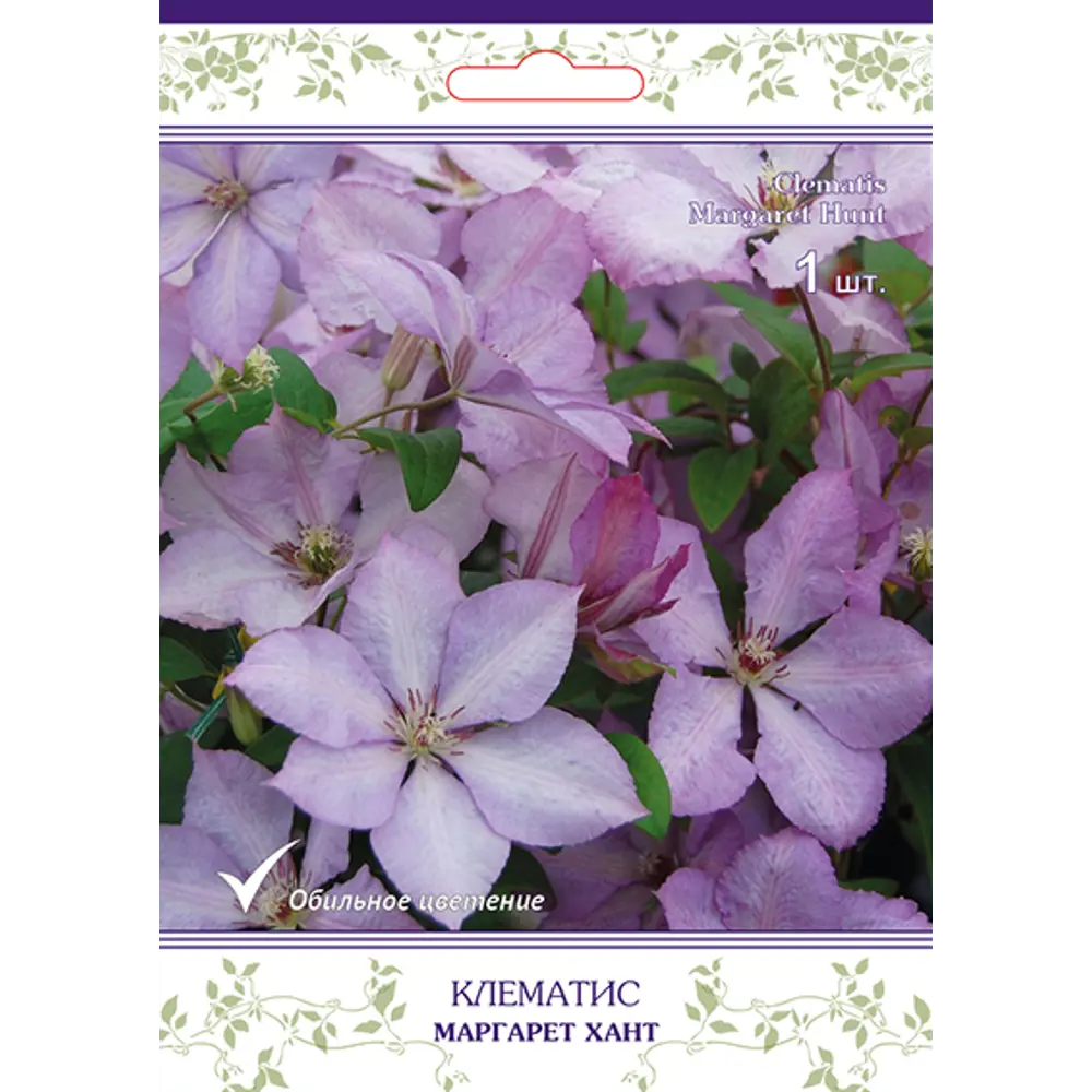 Клематис крупноцветковый Маргарет Хант h15 см 83431371 STLM-2083352 Santreyd 