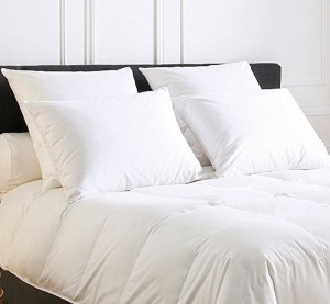 PAL_50 Подушка 50/70 90% пух 10% перо утиное Blanc des Vosges