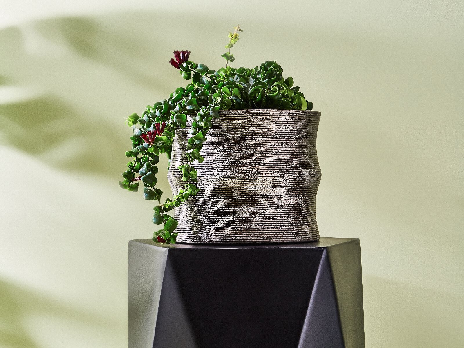 Керамическая круглая ваза LAMBERT COBANO ARCH-00109044 - Вид №1