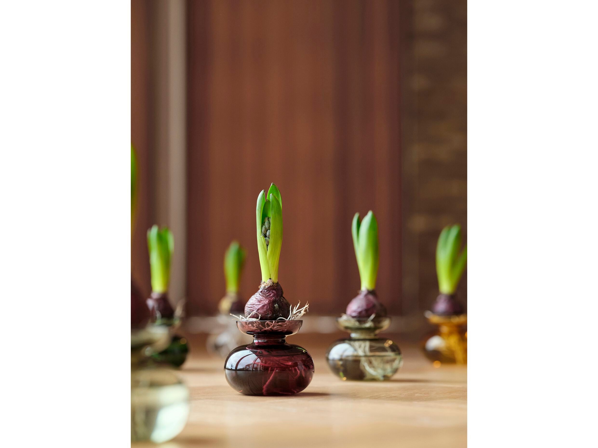 Стеклянная ваза ZONE DENMARK Inu ARCH-00122422 - Вид №9