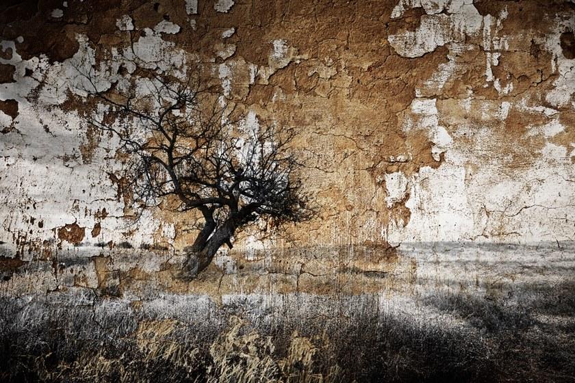 MOMENTI Художественная печать Crazy home paintings 060 - Вид №1