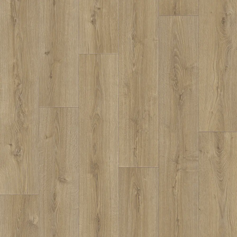 Santreyd Линолеум «Дуб Фостер» с текстурой дерева для жилых помещений 84785043 STLM-0055129 - Вид №1