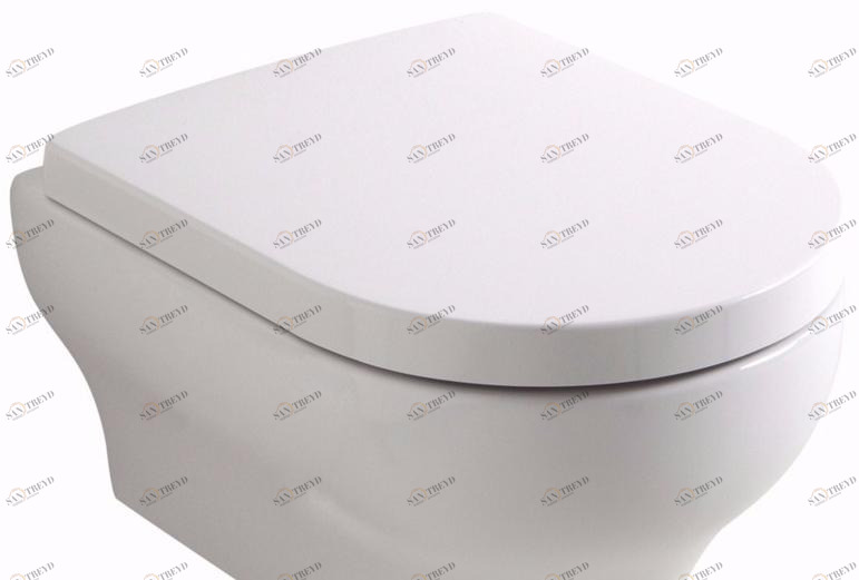 C6cl01 / c4cn01 Крышка сиденье для унитаза Olympia Ceramica 