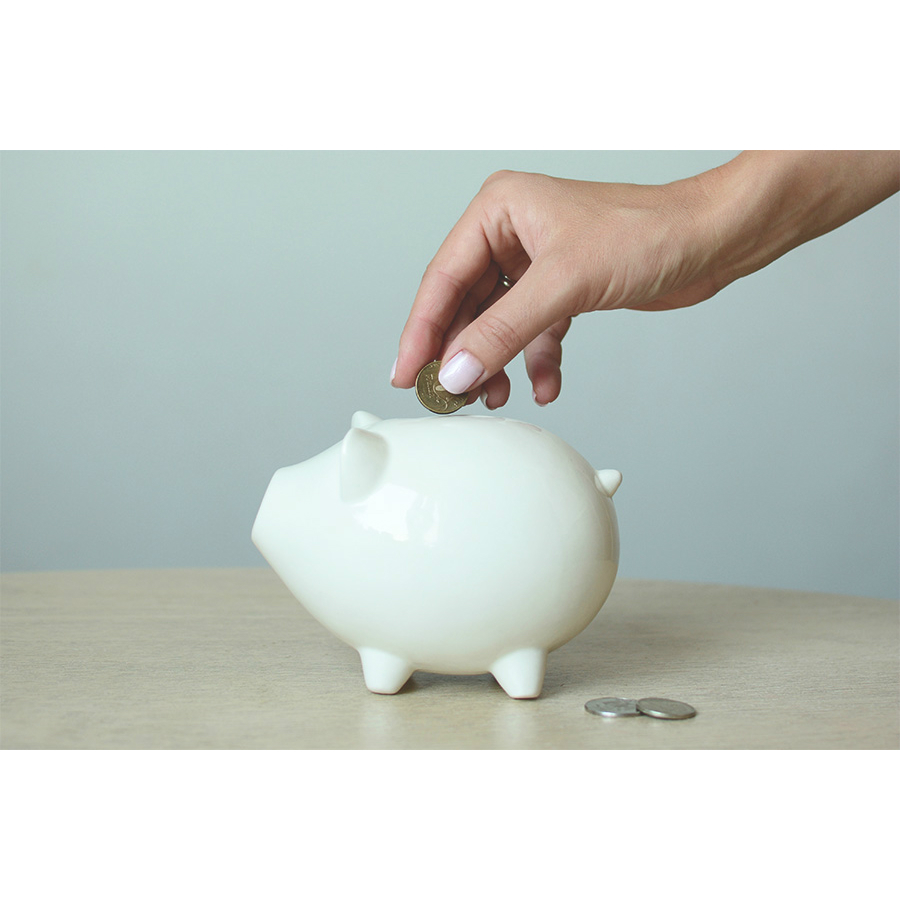 Сувенир «Свинка-копилка» ЭКОЧЕЛОВЕКИ PIG101 - Вид №2