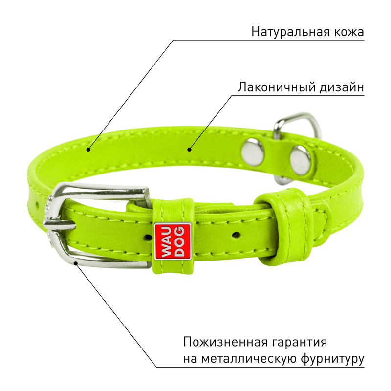 ПР0053777 Ошейник для собак Waudog Glamour без украшений (ширина 9мм, длина 19-25см) зелёный COLLAR  - Вид №3
