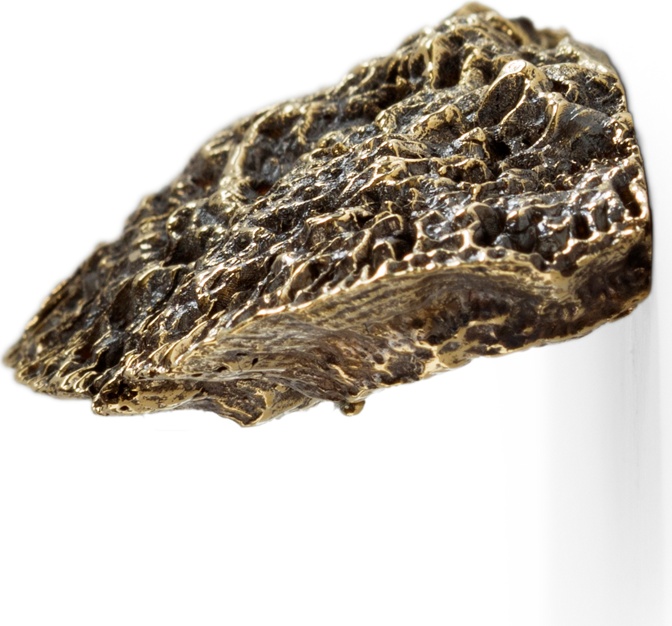 EA1034 Fungi PULLCAST Earth Collection  - Вид №3