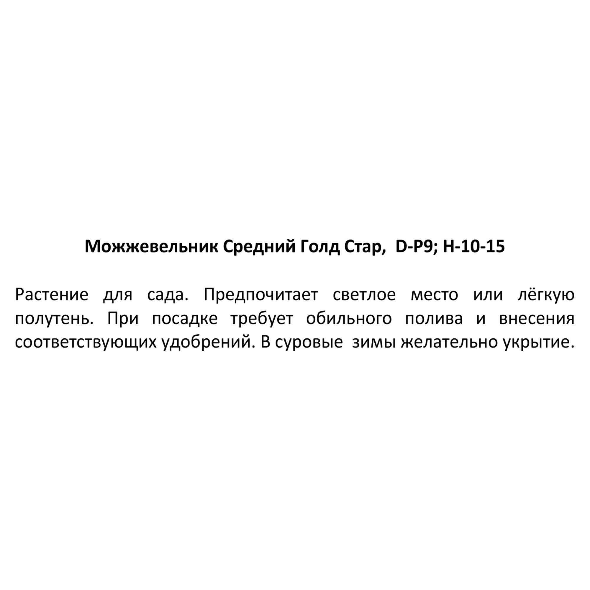 82601662 Можжевельник средний «Голд Стар» 9x12.5 см Santreyd  - Вид №2