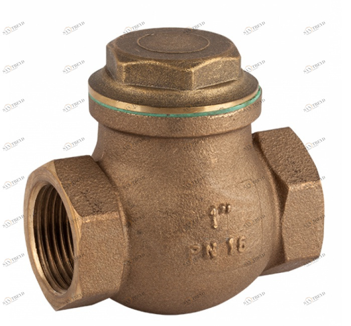 GENEBRE 3186 08 Поворотный обратный клапан из ПТФЭ 