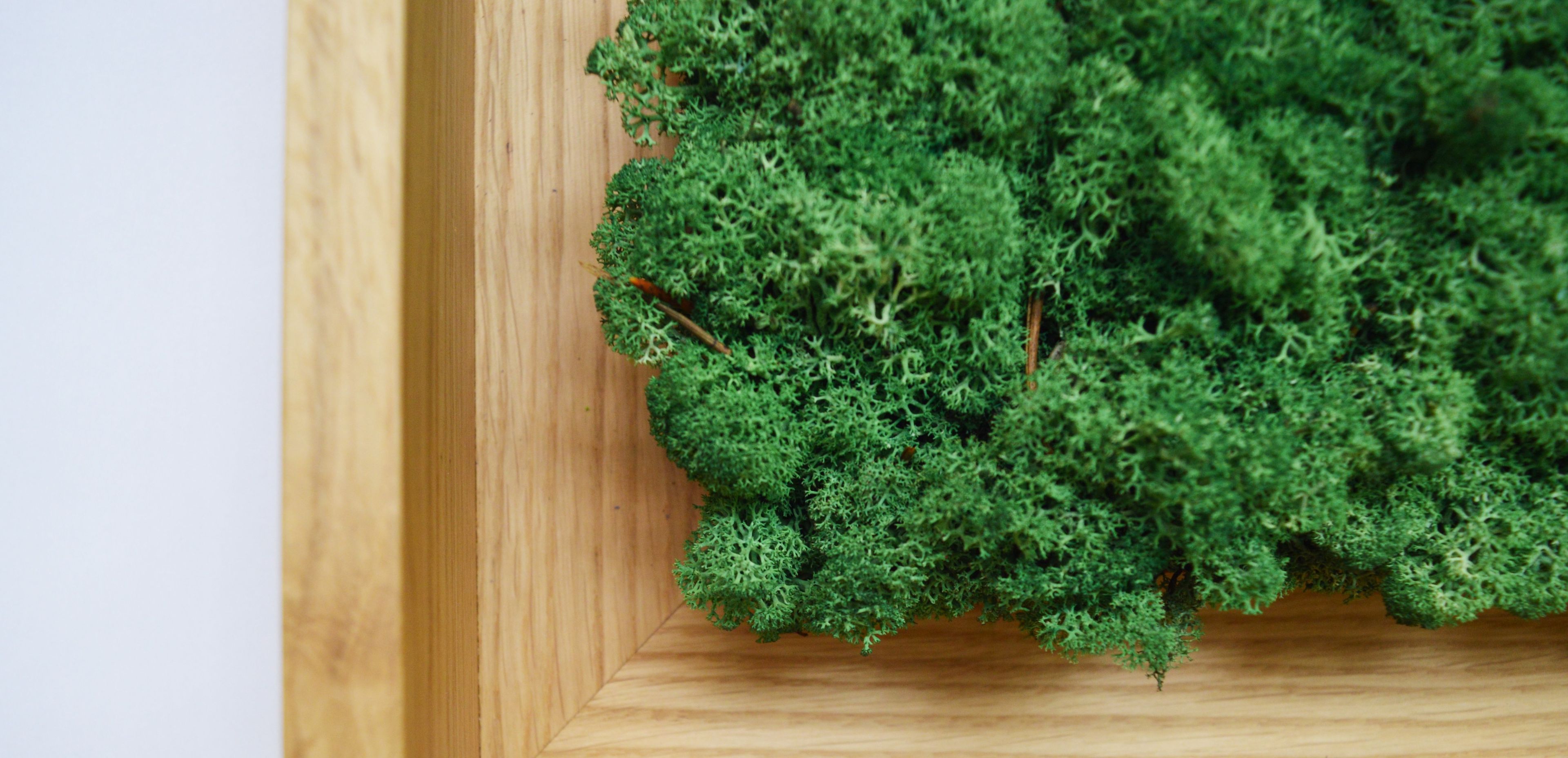 Акустическая панель из мха GREENMOOD FRAMED LANDSCAPE ARCH-00143245 - Вид №19