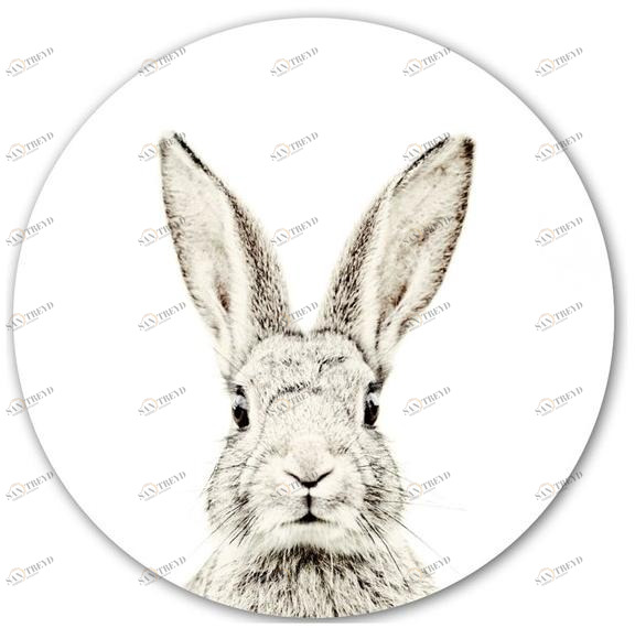 Groovy Magnets Стикер стены с магнитным рисунком Animal sun-id-1482110