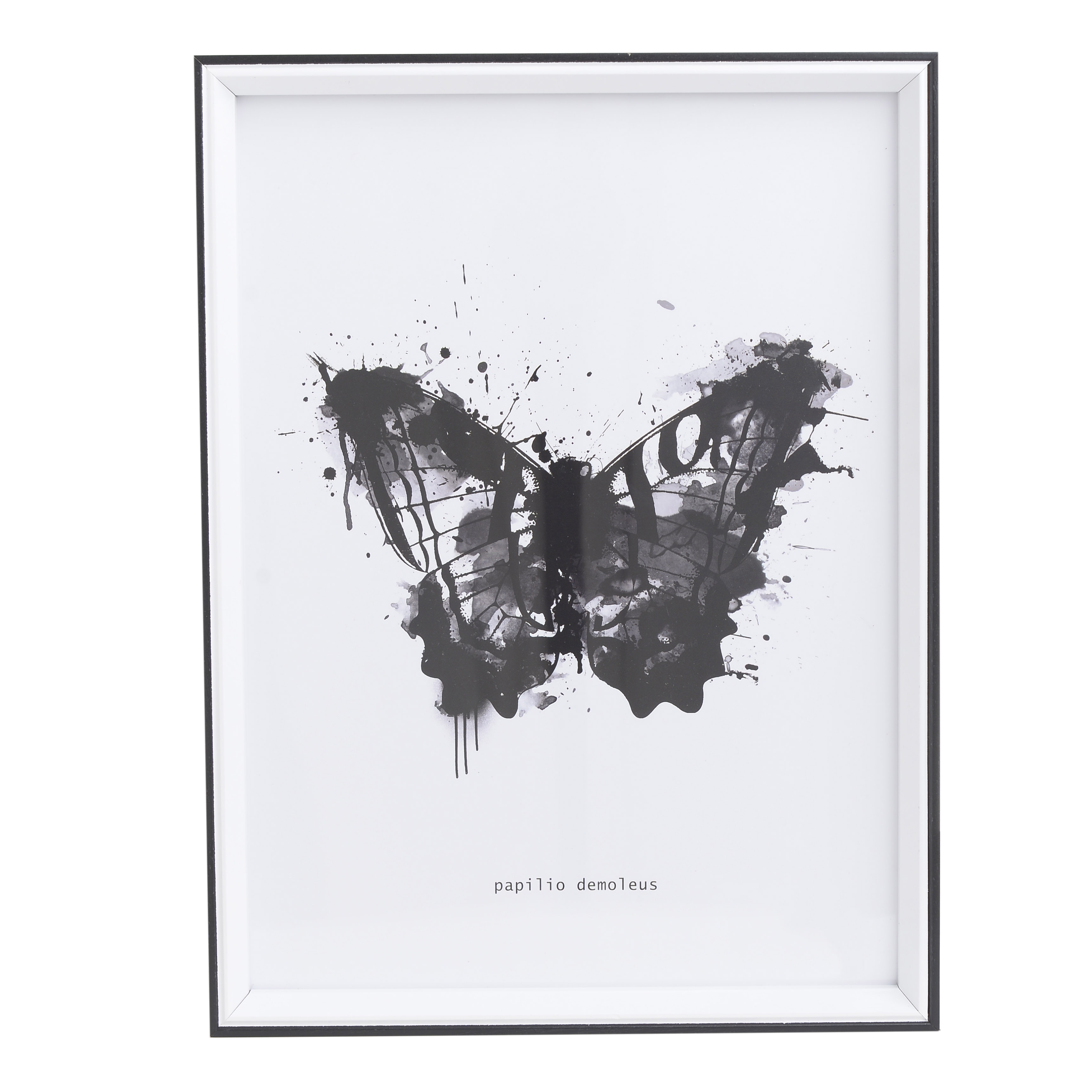 3890763.0033 Принт в раме TO4ROOMS  - Вид №1