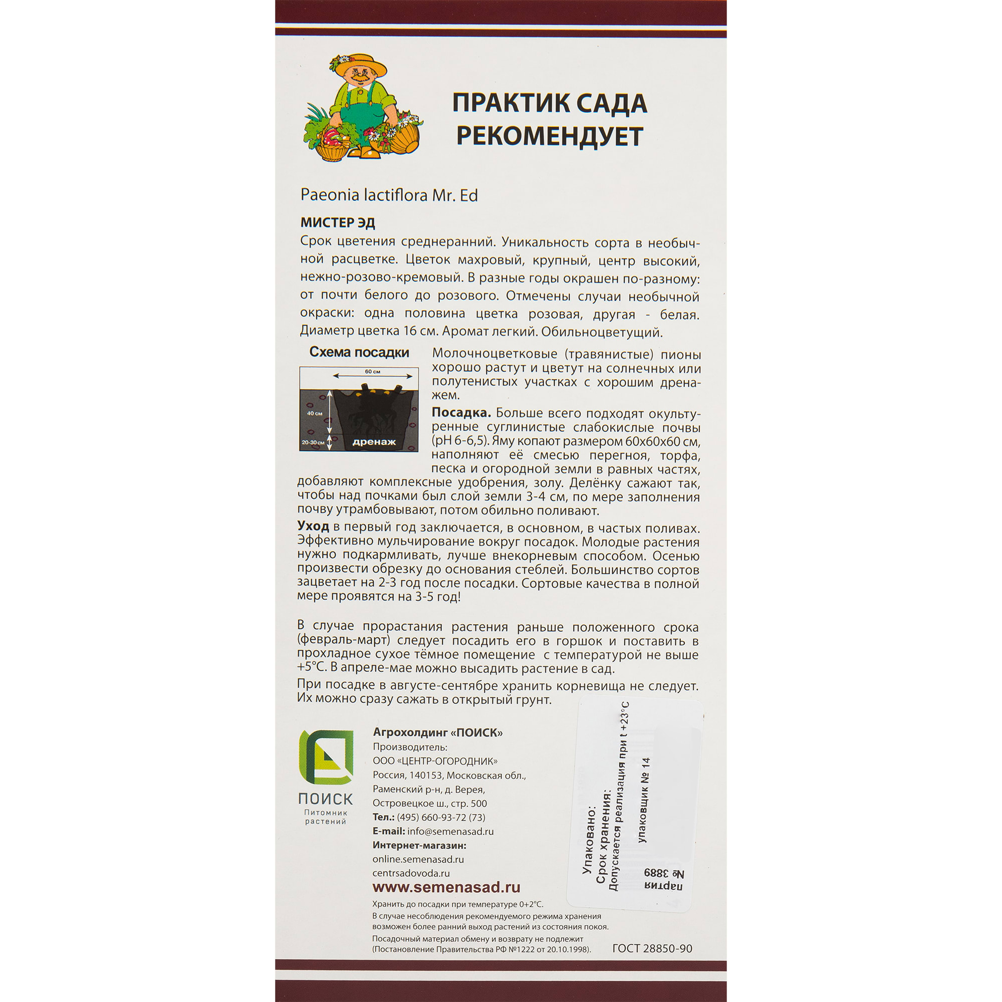 82530287 Пионы травянистые Мистер Эд Santreyd  - Вид №1