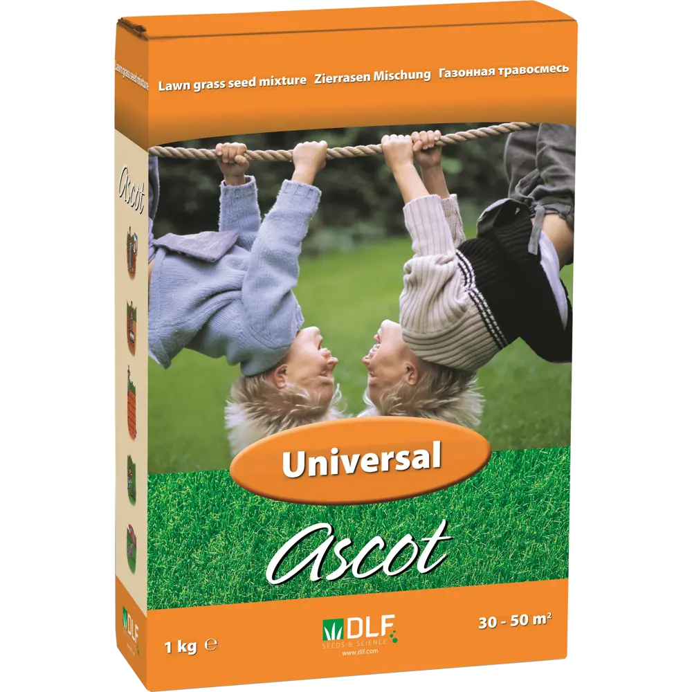Семена газона ASCOT Универсальный 1 кг 15934316 STLM-2173163 