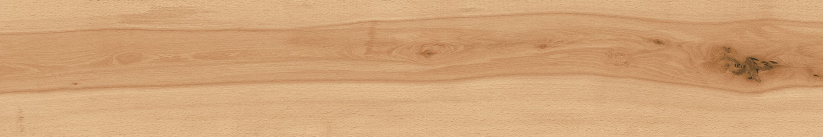 Напольное покрытие из керамогранита под дерево Atlas Concorde Log Cansei ARCH-00109512 - Вид №4