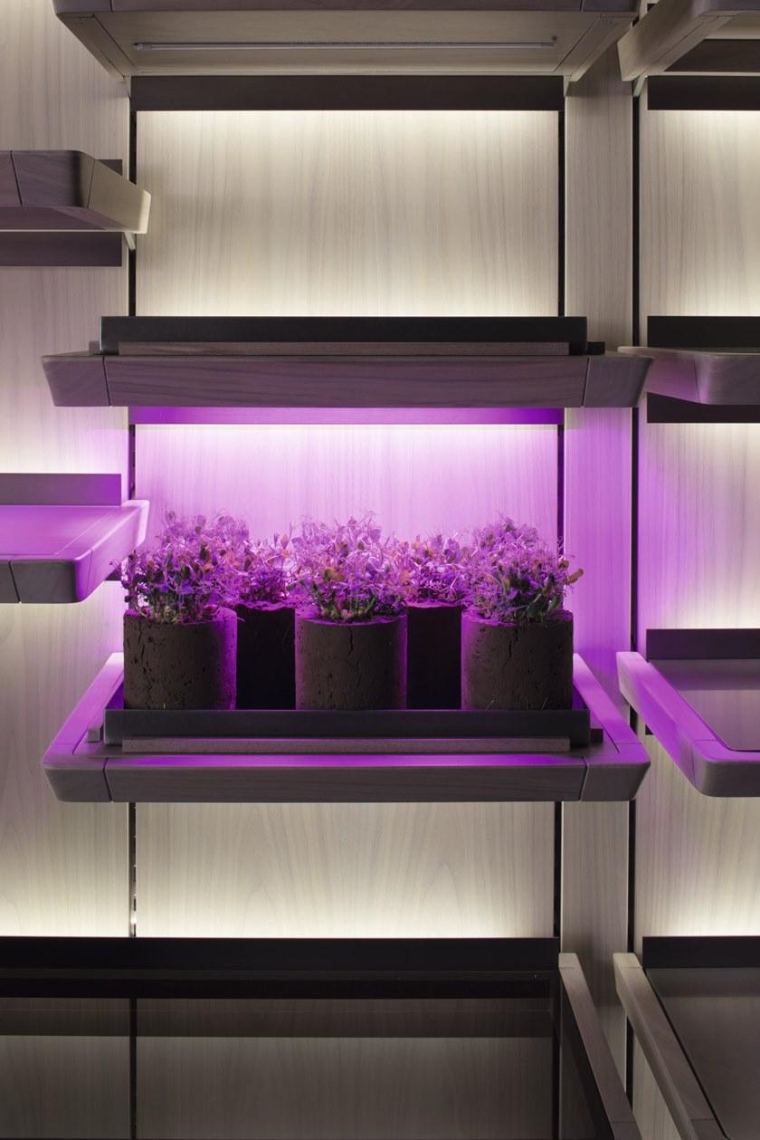 Giorgetti Деревянная кухня с островом sun-id-1509921 - Вид №5