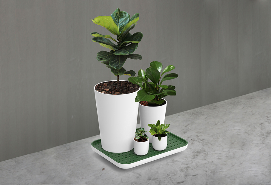 Лоток для полива растений Oasis Tray белый Qualy QL10309WHGN - Вид №6