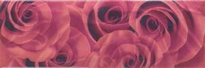 Passion Cenefa 10x30