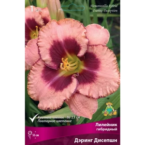Лилейник гибридный Дэринг дисепшн луковица I 88294949 STLM-2062953