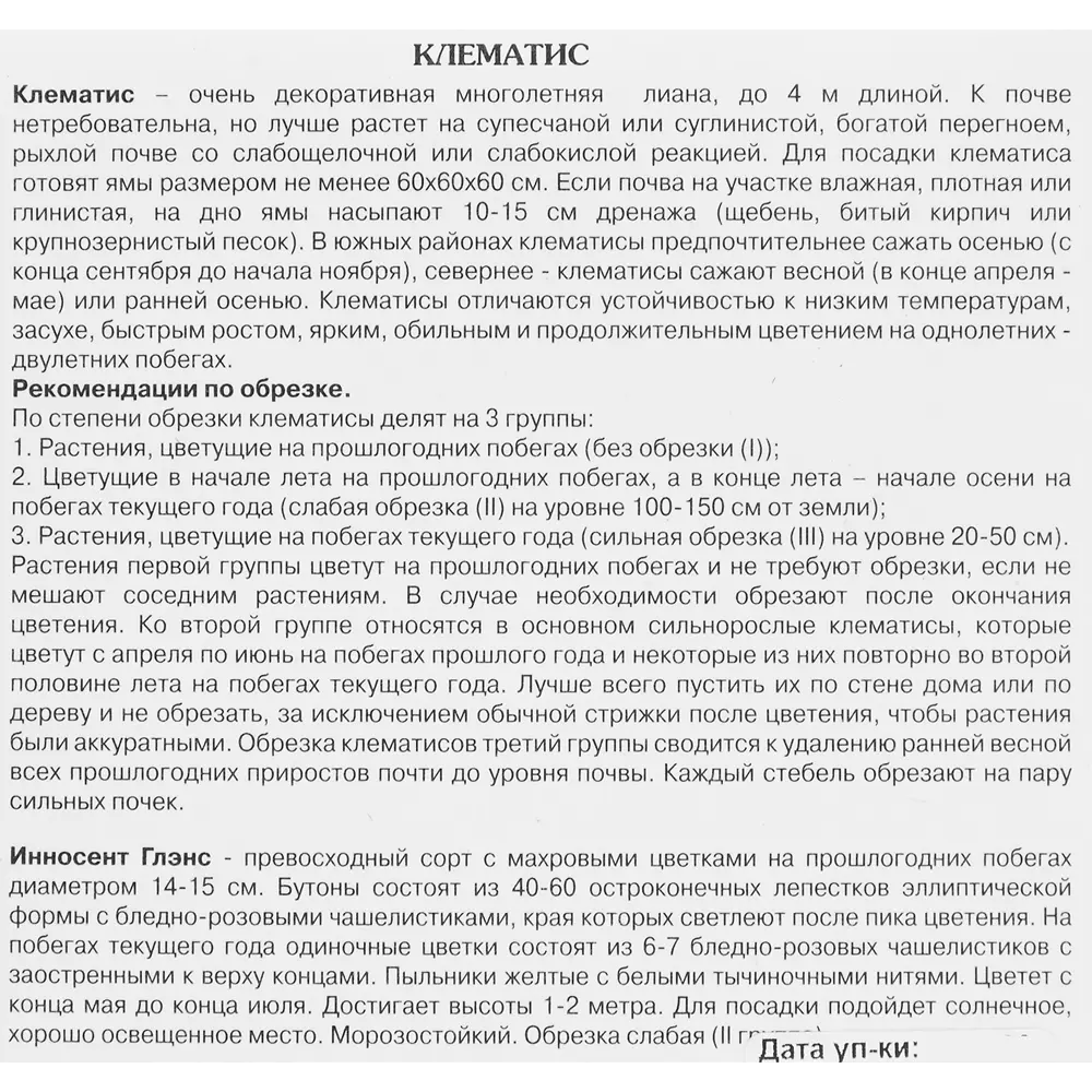 Клематис крупноцветковый Люкс Инносент Глэнс h30 см 83431384 STLM-2180907 Santreyd  - Вид №2