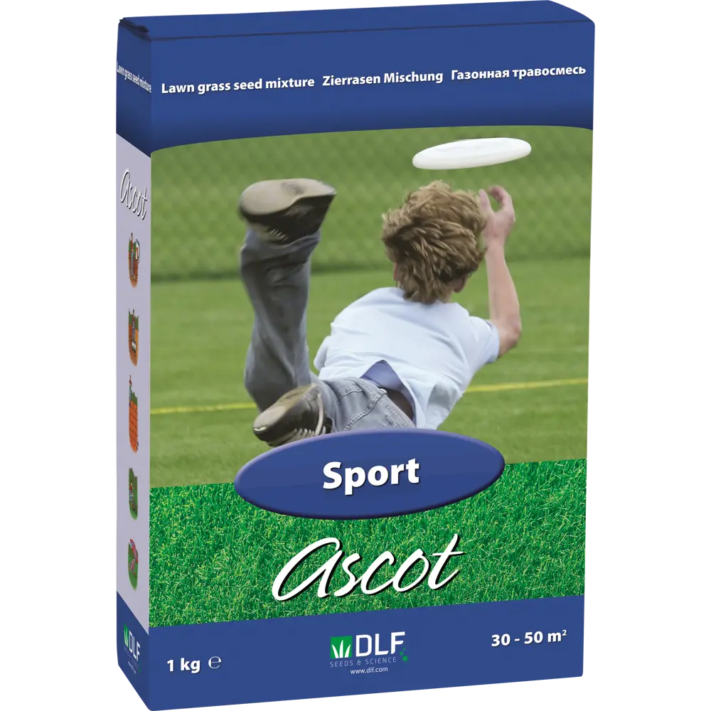 Семена газона ASCOT Спортивный 1 кг 15934295 STLM-2099767 