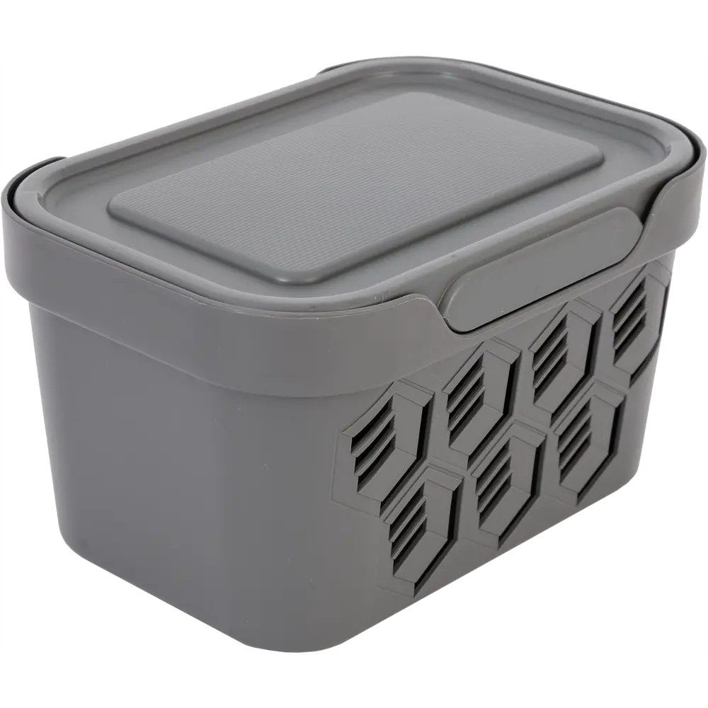 Ящик Deluxe с крышкой 18.9x13.2x11 см полипропилен цвет серый БЫТПЛАСТ STLM-2186585 - Вид №1