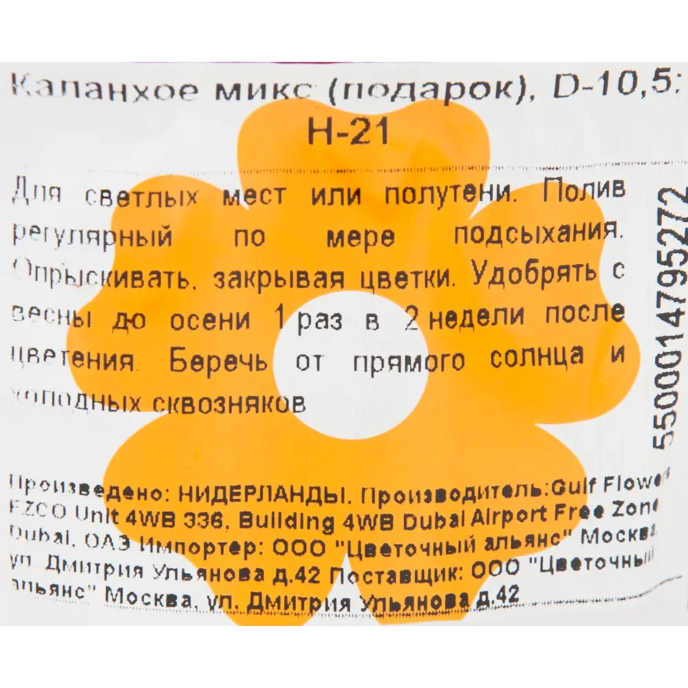 Каланхое микс в подарочной упаковке ø10.5 h21 см 84450730 STLM-2059216 Santreyd  - Вид №2