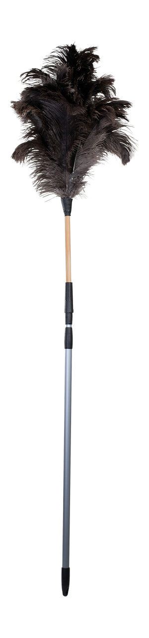 468804 Страусиная лапка Бюрстенвельт Buerstenwelt 