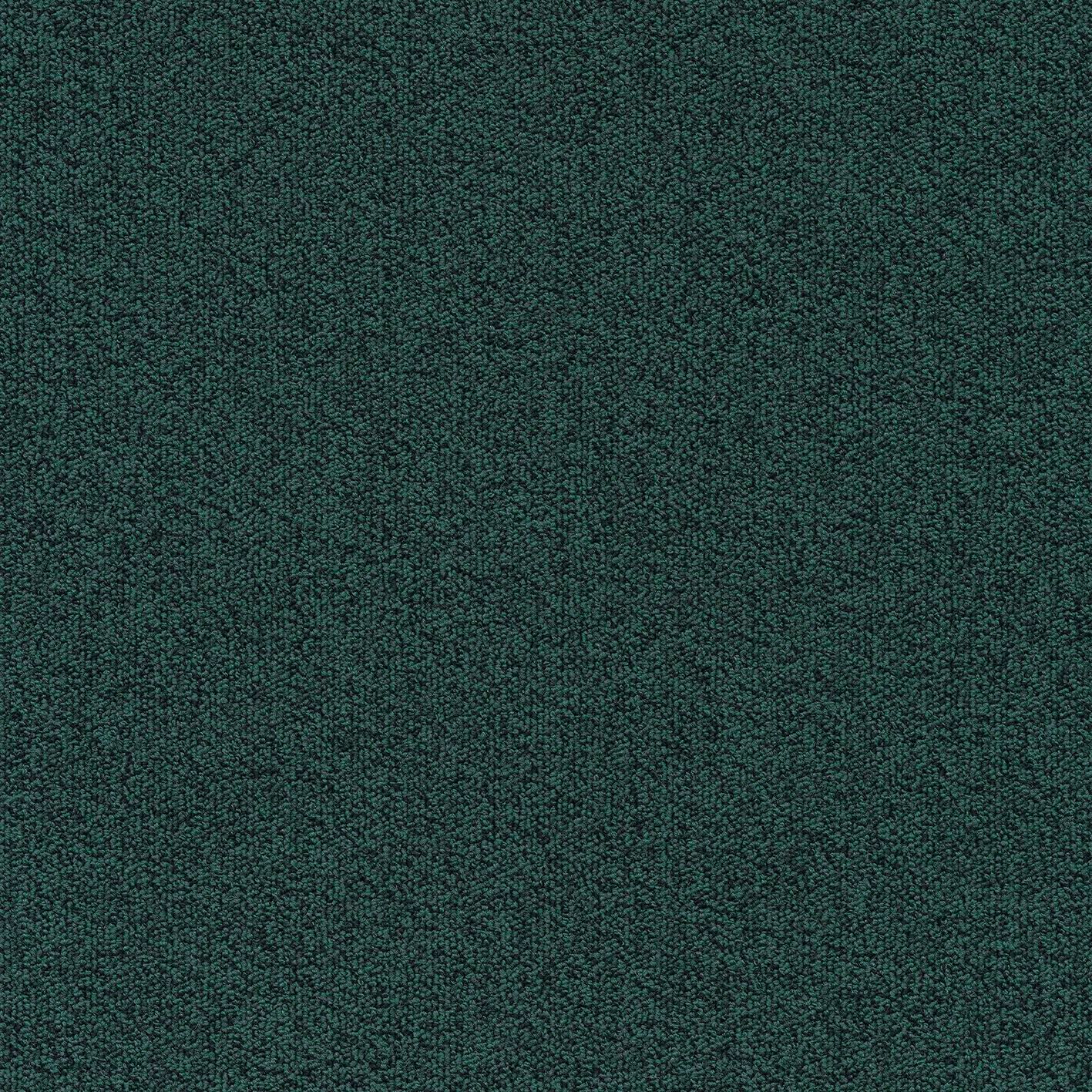 Ковровое покрытие ECONYL® MODULYSS MILLENNIUM NXTGEN ARCH-00079202 - Вид №20