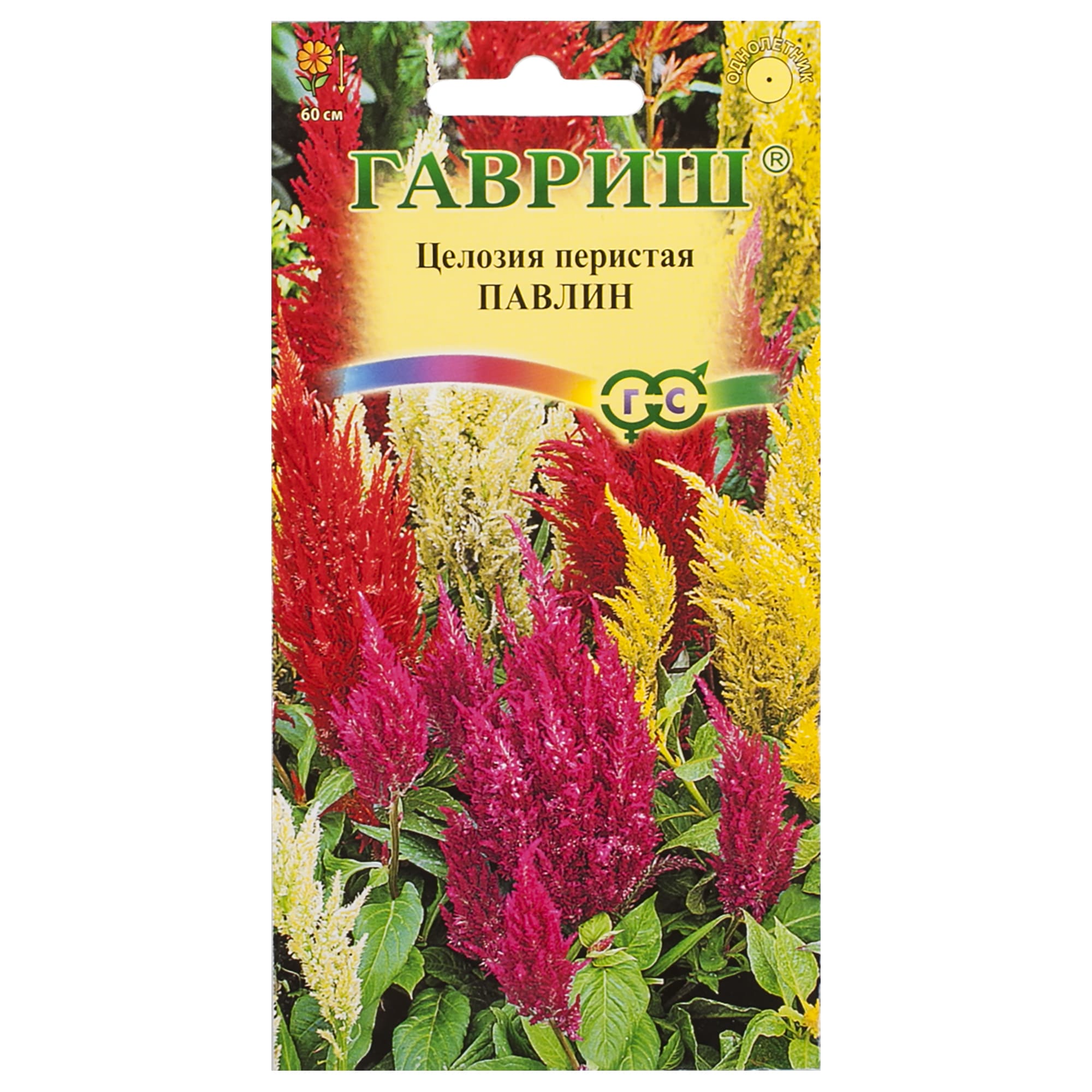 17265283 Целозия перистая «Павлин» Santreyd 