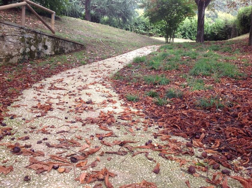 Terra Solida Экологический стабилизатор для дорог и тротуаров Nature stabil road sun-id-1350501 - Вид №1