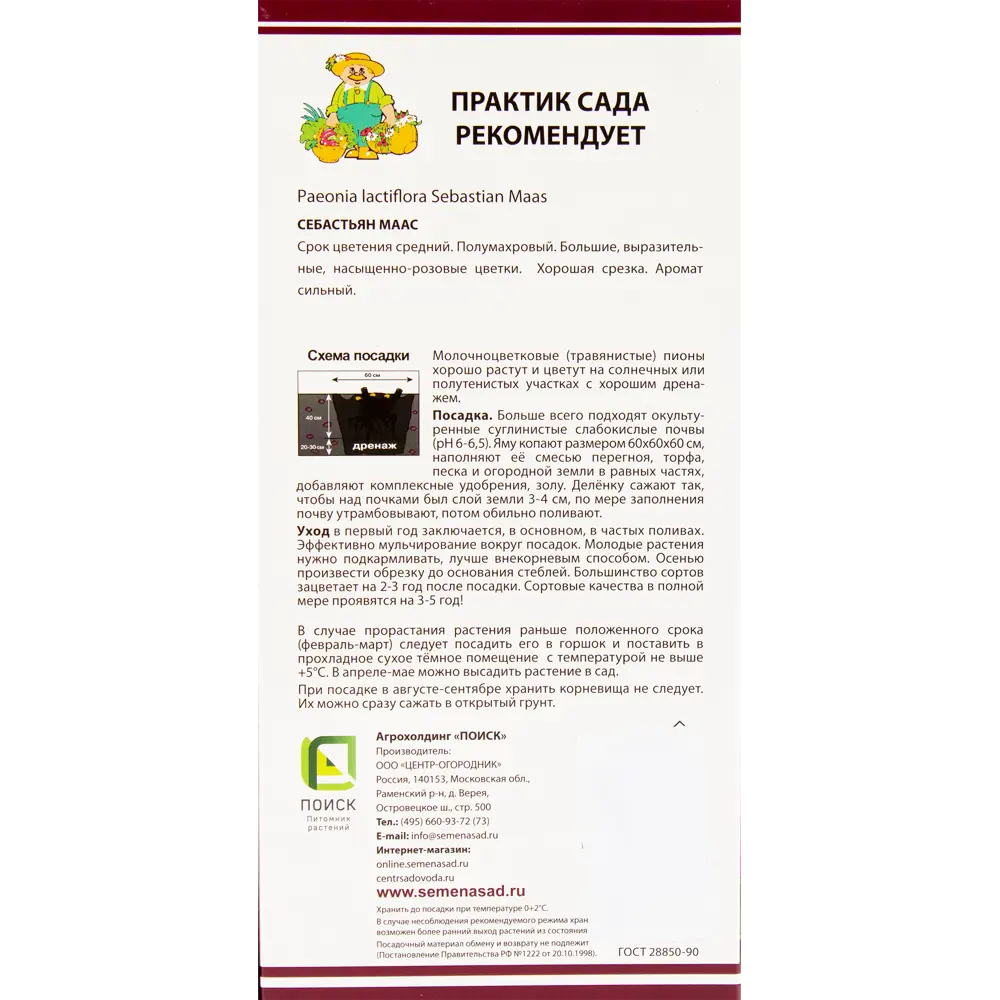 Пион молочноцветковый «Себастьян Маас», размер луковицы I 82319610 STLM-2030826 Santreyd  - Вид №2