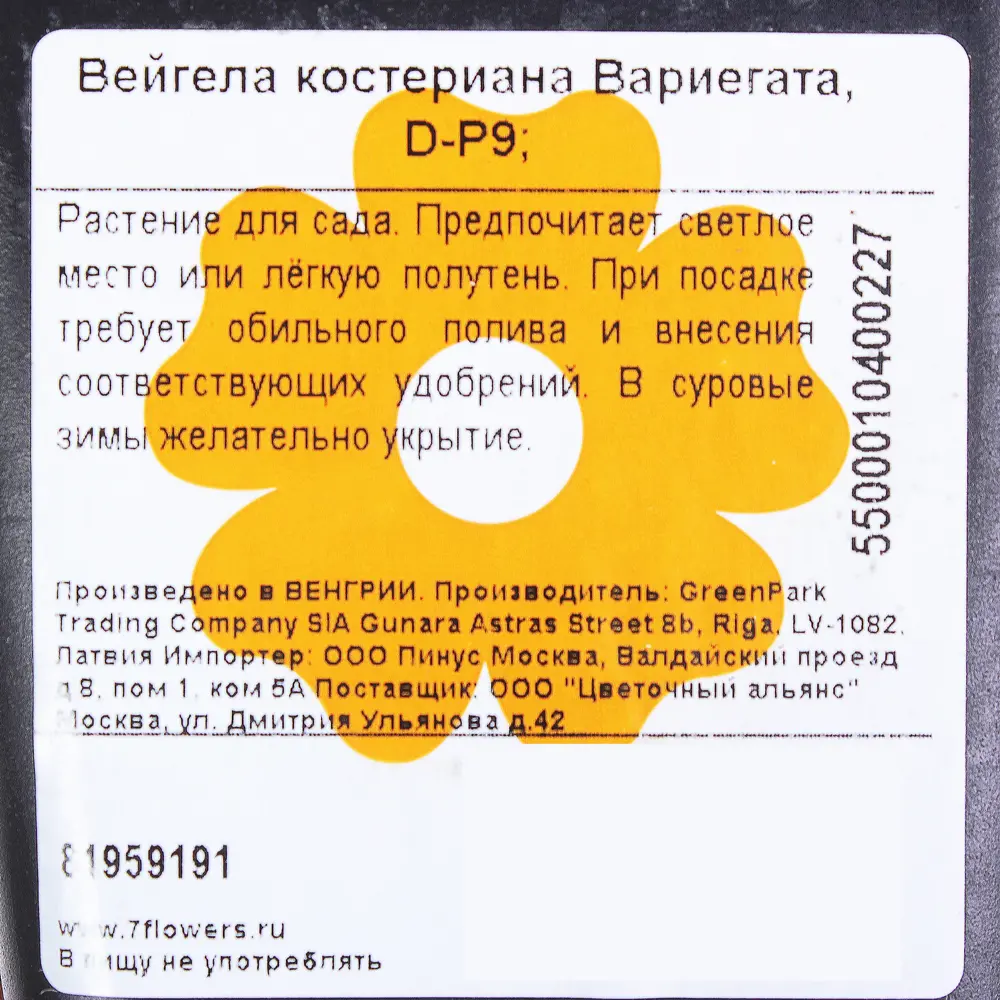 Вейгела костериана «Вариегата» Р9 81959191 STLM-2124016 Santreyd  - Вид №1